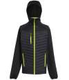 RG446 TRA549 Regatta Navigate Hybrid Jacket Black / Lime Green colour image